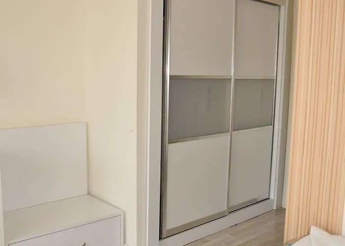 ホテル Miami シダ